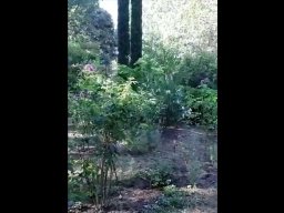 Festival 2020 - édition numérique